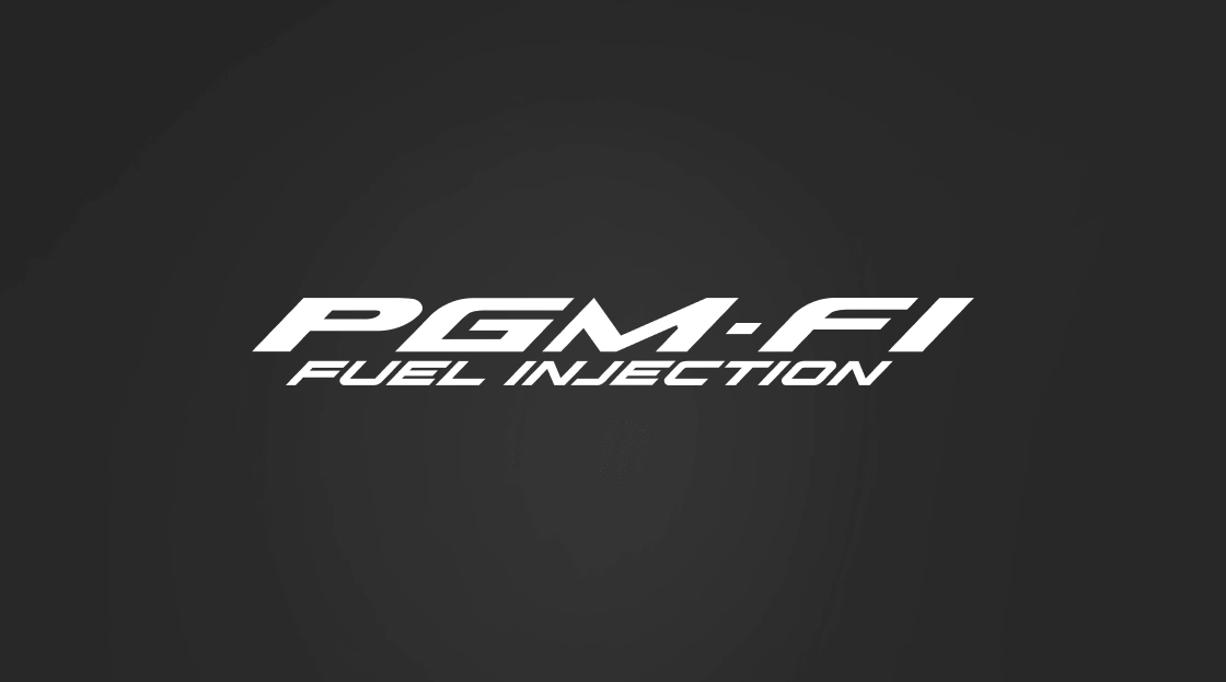 PGM FI System